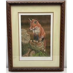 Robert E Fuller (British 1972-): Red Fox on Tree Stump, limited edition colour print signed and numbered 6/850 in pencil 30cm x 22cm