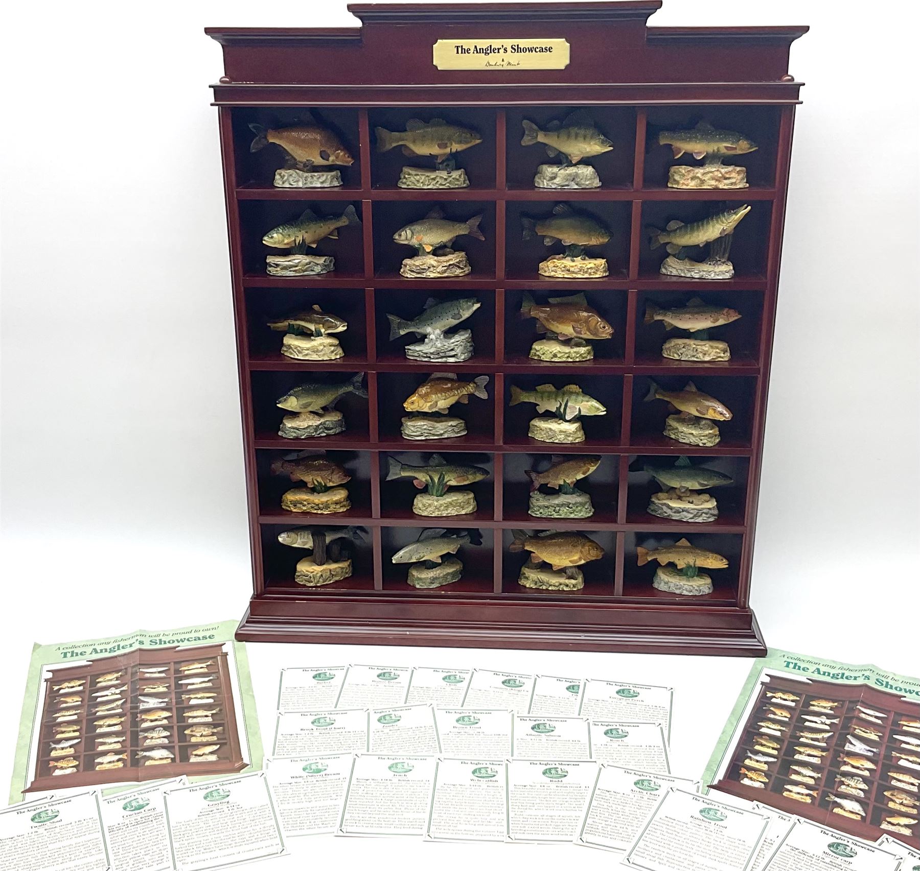 Twenty Four Danbury Mint models of fish, The Angler's Showcase, each with accompanying information card, in wooden wall mounted display shelf, with title plaque, display shelf H61cm L54cm