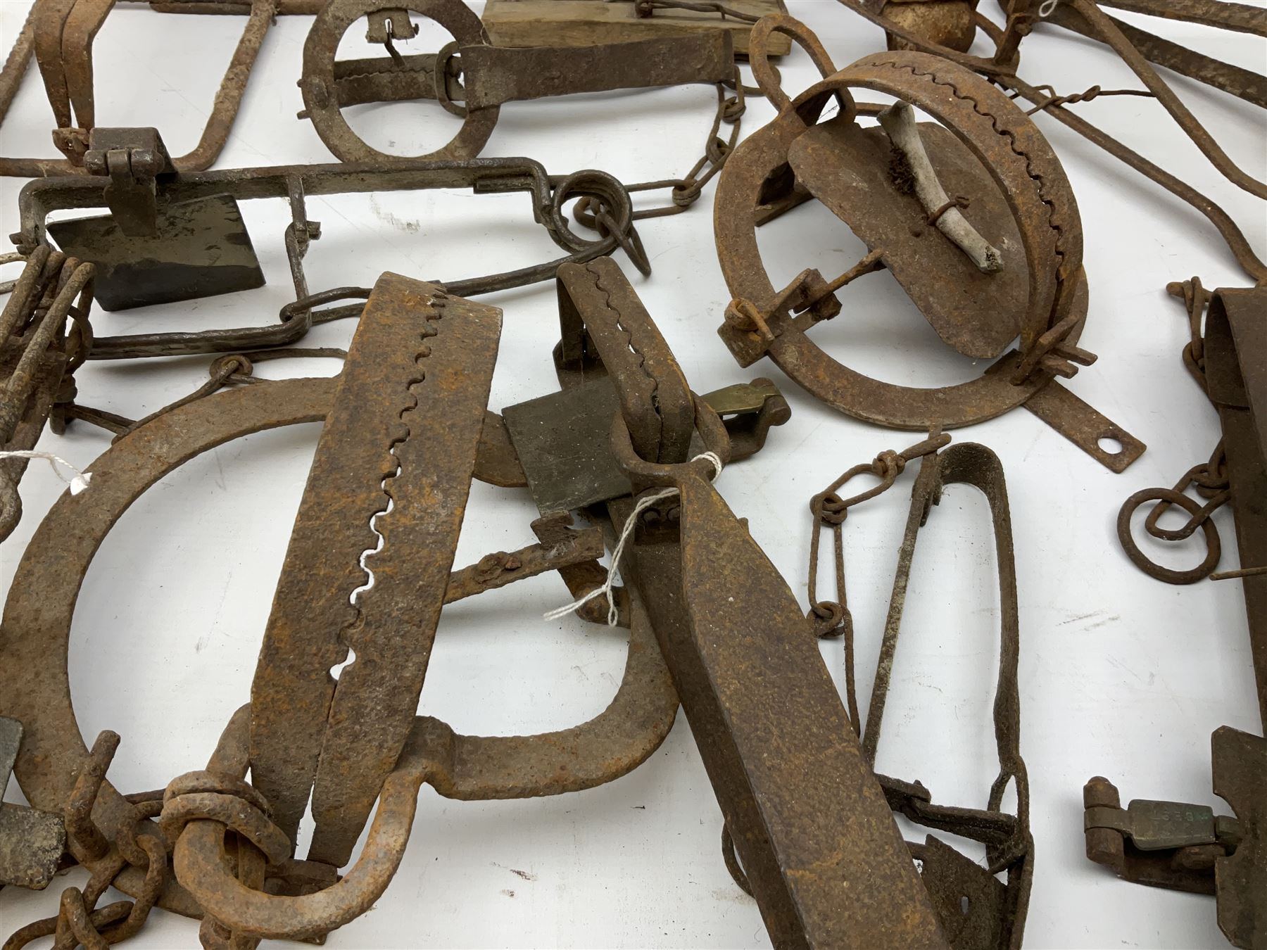 Quantity of animal traps including, gin traps, mole traps, Henri Marty wirework cage trap etc. Auctioneer's Note: These traps are sold as artefacts for ornamental purposes only as the use of some of them is illegal.