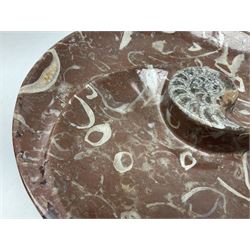 Large circular dish with a raised Goniatite to the centre and Orthoceras inclusion, age: Devonian period, location: Morocco, D30cm