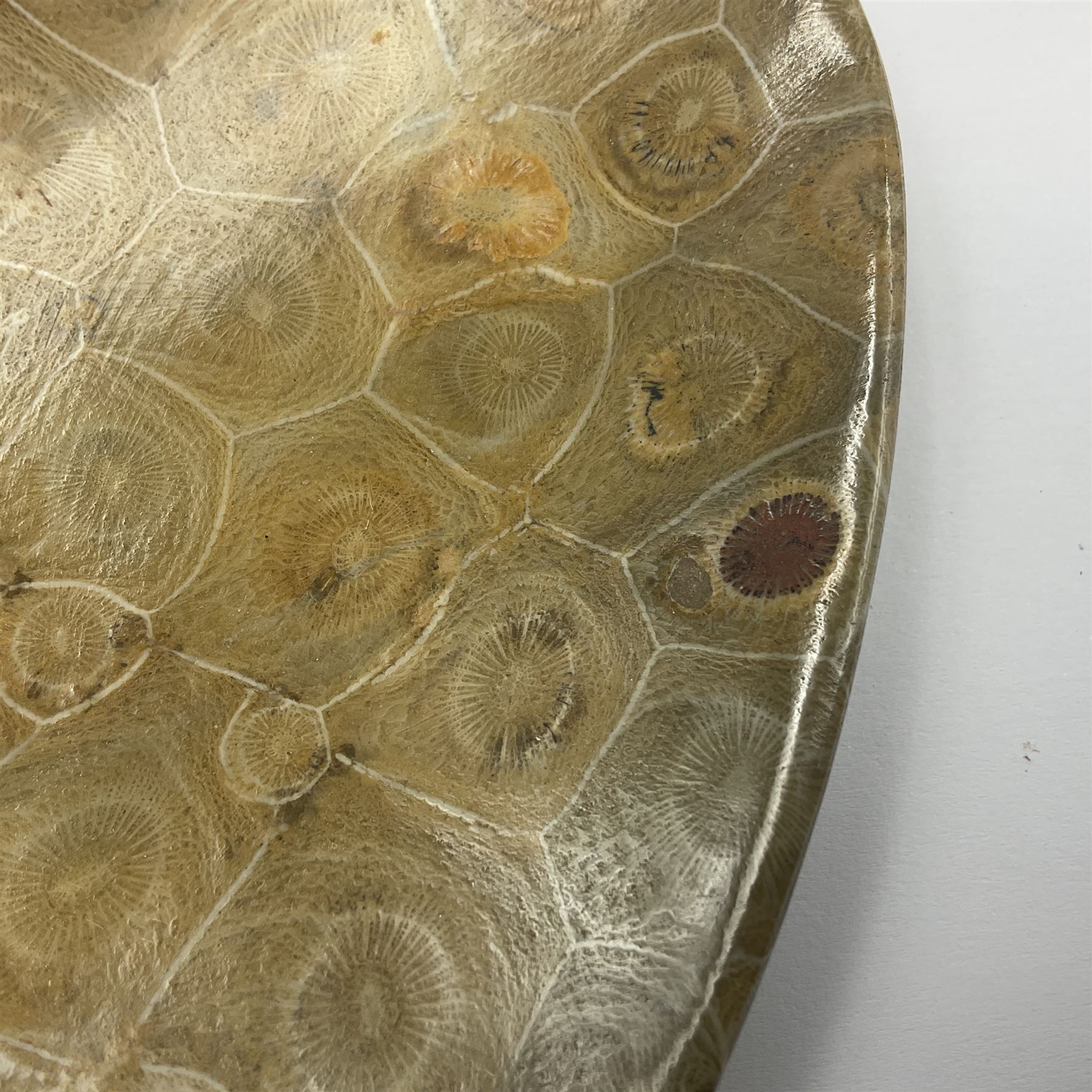 Two graduating fossilised coral dish in the form of hearts, largest D16cm