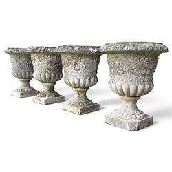 Set of four weathered composite stone urns of campana form, the everted leaf-moulded rolled rim over a body decorated with scrolling fruiting grapevines in relief, over a gadrooned underbelly and waisted socle, lobed collar on square base