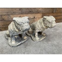 Pair of cast stone garden British bulldogs, on shaped plinths