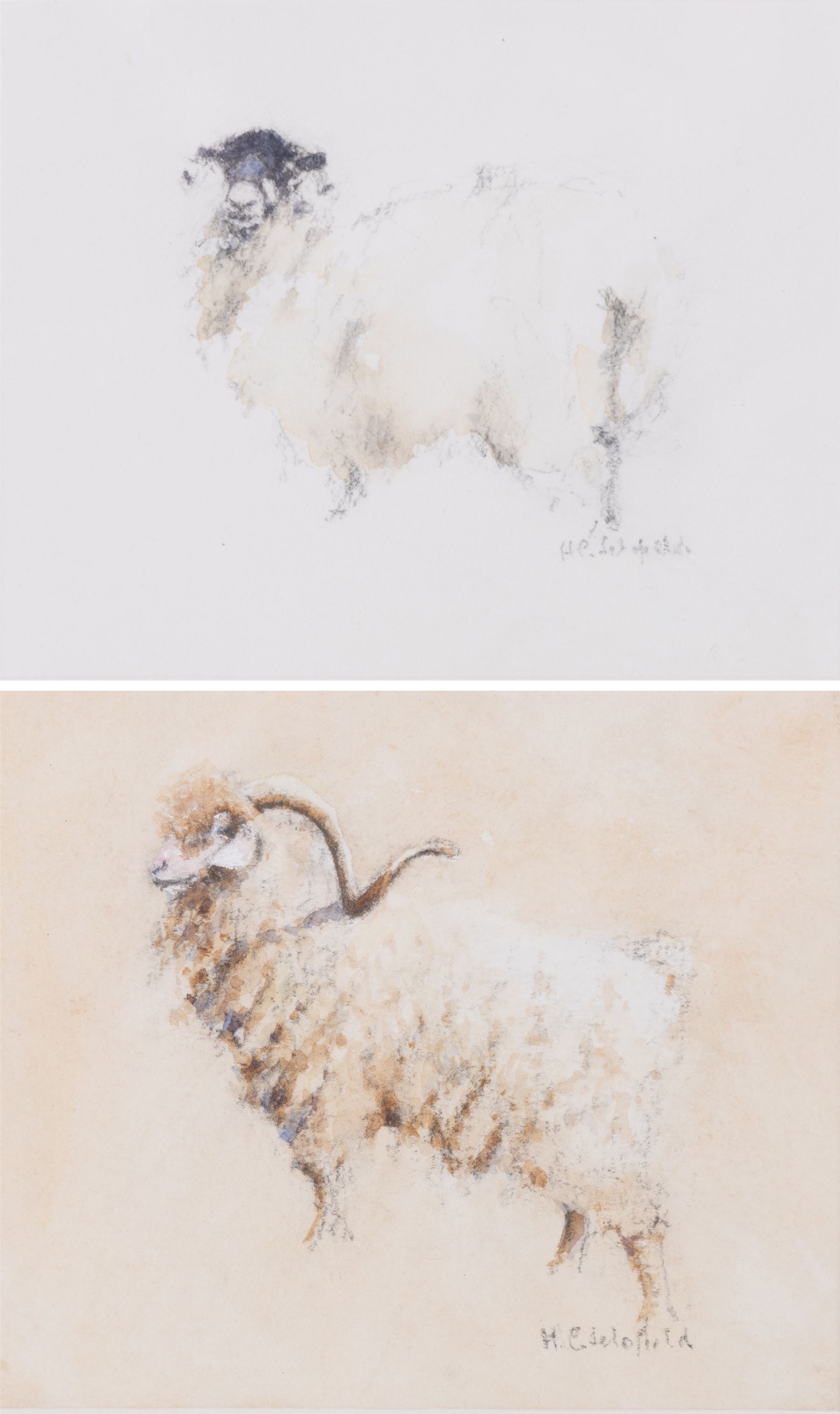 HC Schofield (British 20th Century): Sheep and Ram, two watercolours signed 10cm x 12cm (2)
