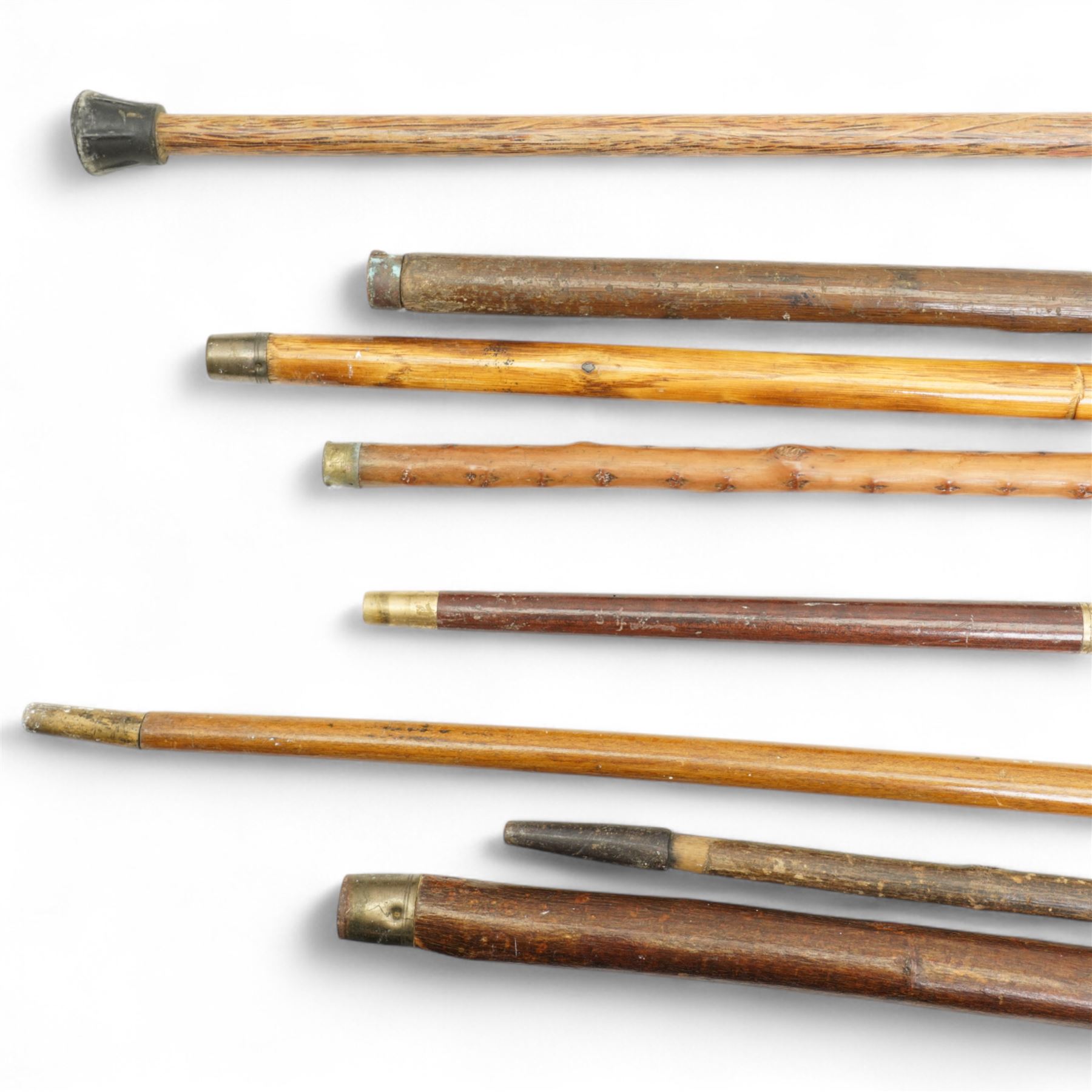 Thornwood walking stick with carved dogs head handle and seven other sticks