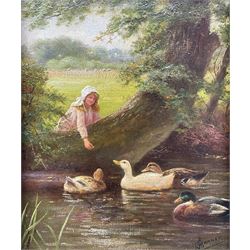 Alfred Banner (British fl.1882-1911): 'Friends' - Feeding the Ducks, oil on canvas signed, titled and dated 1913 verso 24cm x 19cm