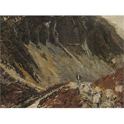 Pat (Patrick) Cleary (British 20th century): Herding Swaledale Sheep in the Lake District, oil on board signed 60cm x 79cm