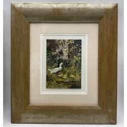 Jack Ridley (British 20th Century): Goose and Goslings and Cockrel in the Farmyard, two oils on board signed 17cm x 12cm (2)