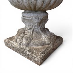 Pair of Neoclassical design cast stone garden urns, each of campana form with fluted body and gadrooned underbelly, decorated with faun/satyr opposing masks and ropetwist handles, with floral and mask design to the socles, raised on square bases, finished in weathered white patina