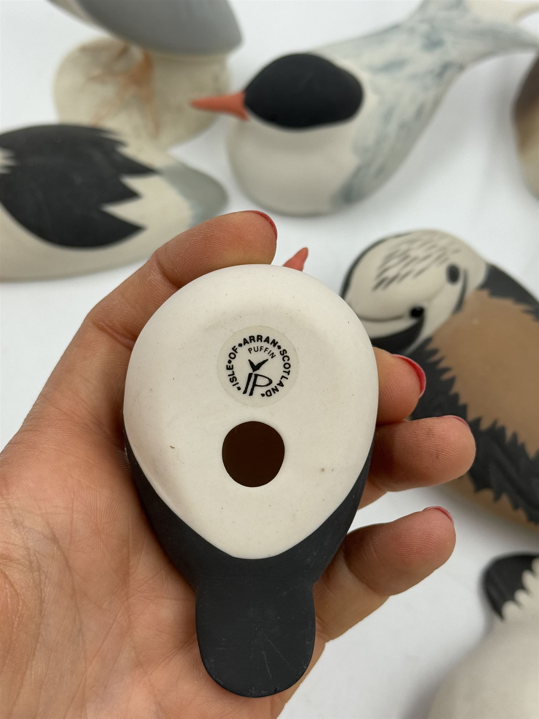Group of eleven Scottish 'Isle of Arran' bisque porcelain birds, to include Great Northern Diver, Eider, great Crested Greebe, Artic Tern, King Penguin, etc.
