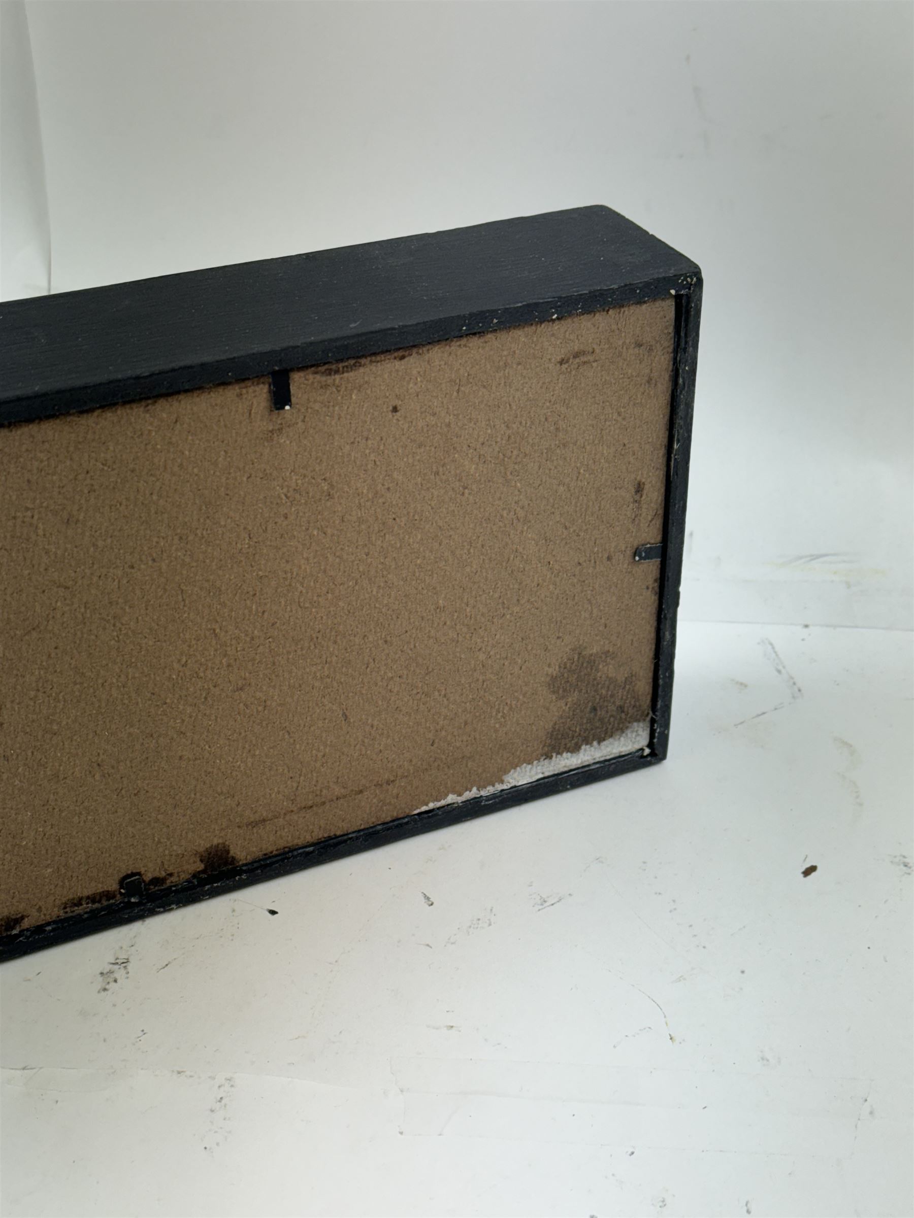 Entomology: Single glazed display of insects, circa 20th century, single glazed display containing five various specimens, comprising South American Tarantula, two specimens of Tarantula Hawk Wasp, Asian Hornet and Common Wood Wasp, pinned upon foam backing, enclosed within a glazed ebonised display case, H74cm, L24cm