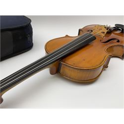 1920s continental large viola with 42cm two-piece maple back and ribs and wide grain sprucewood top with guarnerie sound holes, bears label 'Werner Alajos Budapest', overall length 69cm; in modern carrying case