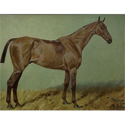 George Paice (British 1854-1925): 'Merryman' Portrait of a Hunter, oil on canvas signed titled and dated '11, 34cm x 44cm
Provenance: private collection; with David Duggleby Ltd. 26th November 2012 painted for the previous vendor's family