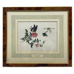 After Franz Andreas Bauer (Austrian 1758-1840): Botanical Studies, set of three limited edition prints for the Natural History Museum together with a set of four other prints from the Reeves Collection with British Museum stamps, certificates verso max 32cm x 21cm (7)