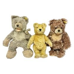 Steiff teddy bear with golden plush body