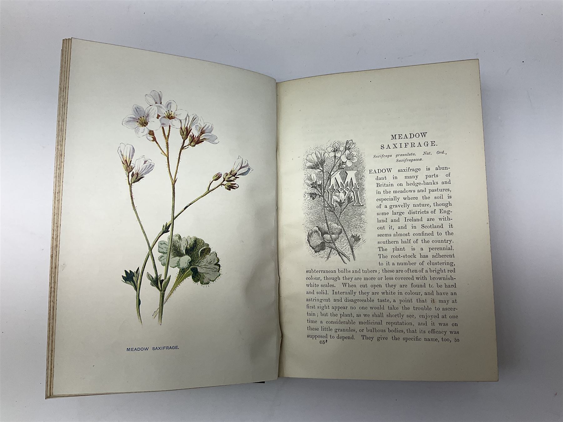 Hulme, F. Edward; 'Familiar Wild Flowers' with coloured plates, five volumes, together with Hulme, F. Edward; 'Familiar Garden Flowers' described by Shirley Hibberd with coloured plates, five volumes, each with coloured title labels 