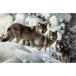 Jenkins (Contemporary): The Wolf Pack, oil on canvas signed 60cm x 90cm