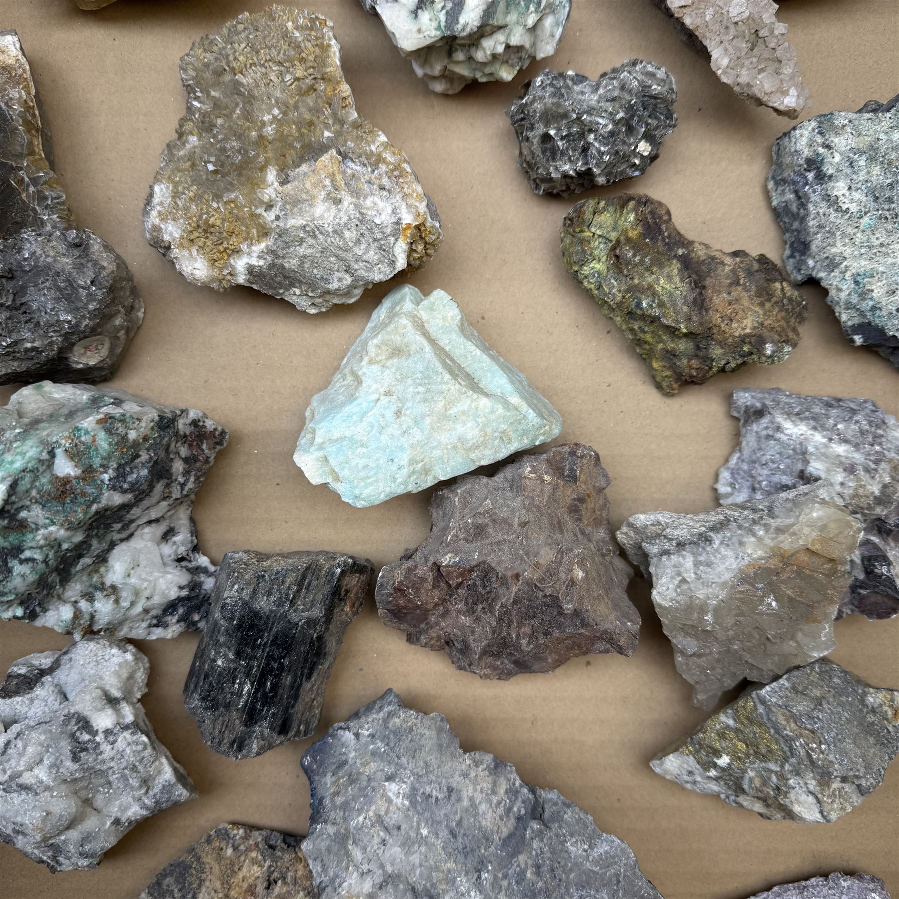 Large private collection of minerals and fossils including, Malachite, Azurite, Amethyst, agate, coprolite (fossilised excrement) etc 