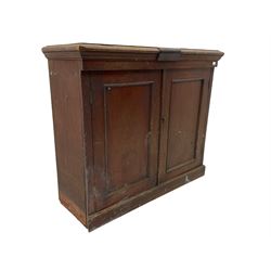 19th century solid mahogany two door cupboard