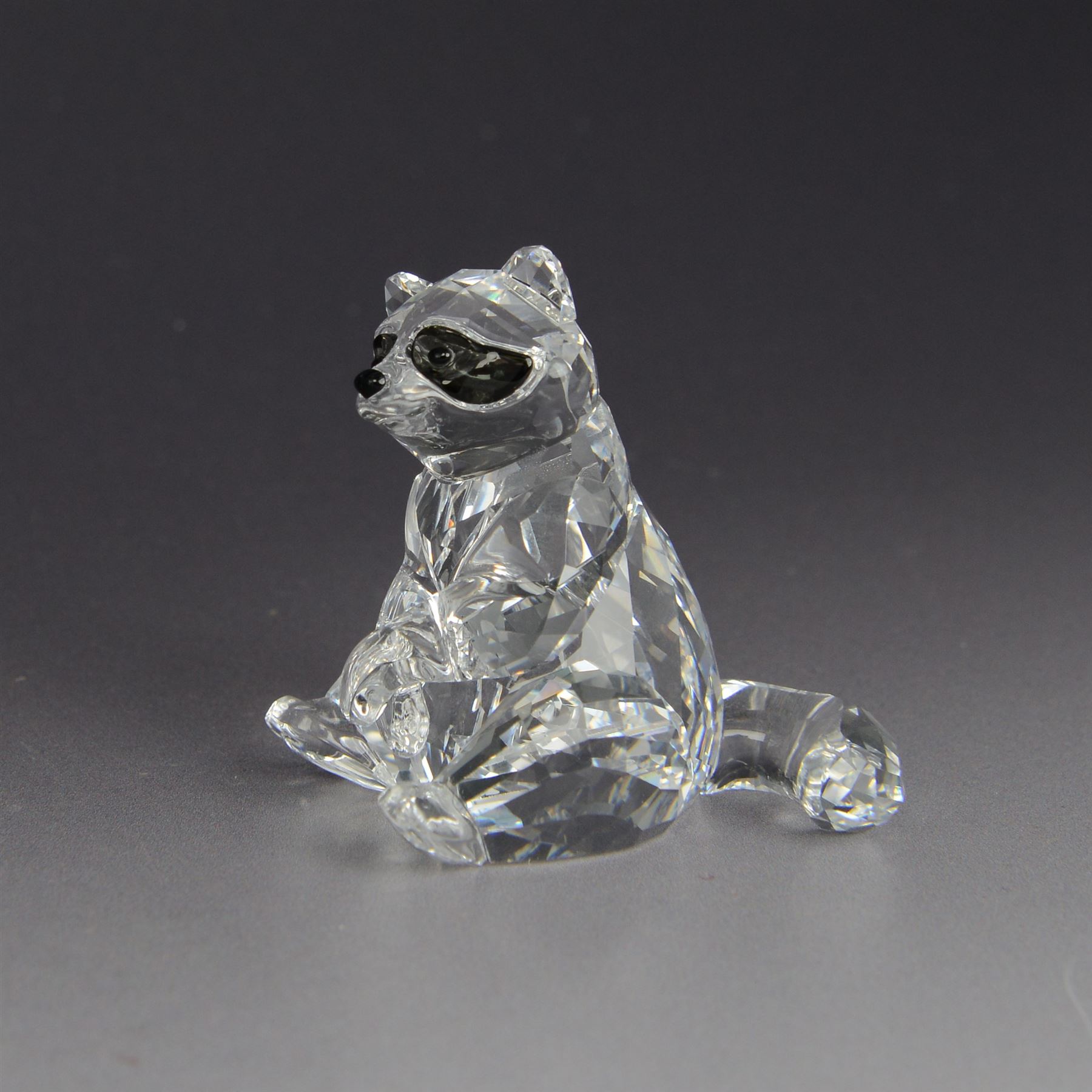 Swarovski Raccoon no. 5301563 with box , H5cm