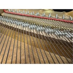 Yamaha - Baby Grand (5' 3