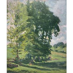 Frank Griffith (British 1889-1979): Study of Trees, oil on board, signed with initials verso with a further landscape sketch 39cm x 32cm 
Notes: Griffith studied and associated some of the leading artists of his day, including Paul Signac, Walter Sickert, and Charles Ginner.