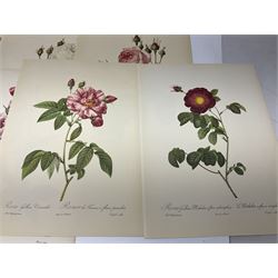 Pierre-Joseph Redoute; two copies of Roses 2, published by The Ariel Press, London 1956, containing coloured plates 