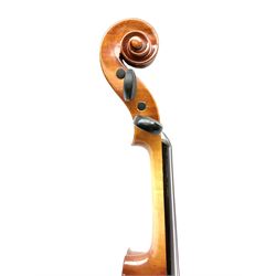 Modern violin with 36cm two-piece maple back and ribs and spruce top 60cm overall