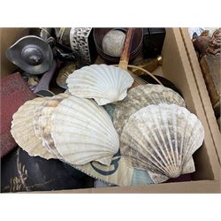 Five scallop shells, pearl nautilus shell,  pair of wooden foo dogs, gilt composite book ends and other collectables, in four boxes 