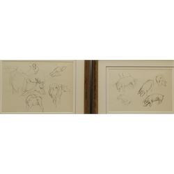 Constance Anne Parker (British 1921-2016): Studies of Bulls and Pigs, two pencil sketches unsigned 24cm x 34cm and 21cm x 32cm (2)