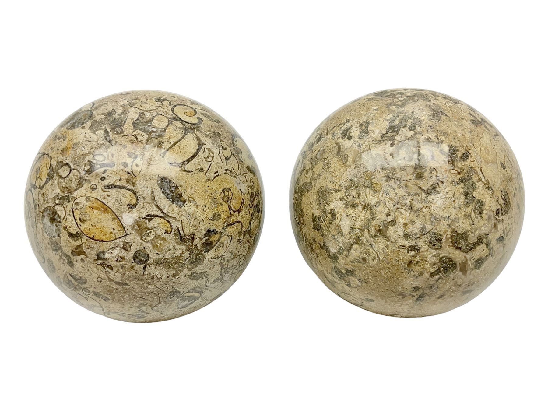 Pair of fossilised coral spheres, D12cm