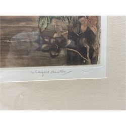 Winifred Maria Louise Austen (British 1876-1964): 'Tom Tit Family', artist's proof coloured etching signed and titled in pencil, with Warwick Galleries blindstamp 22cm x 30cm