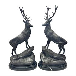 After J. Moigniez, pair of bronzes, modelled as stags standing on rocky outcrops, signed J Moigniez, upon oval black marble plinths, overall H73cm  