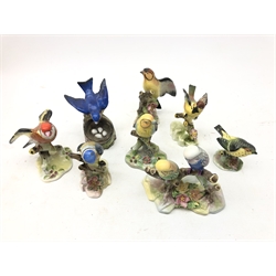  Eight Royal Adderley bird models comprising Yellow Hammers, Goldfinch, Double Budgerigar and others (8)   