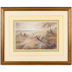James Stinton (British 1870-1961): Pheasants Breaking Cover, watercolour signed 17cm x 26cm