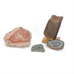 Polished slice of tiger eye Fossils, Minerals Natural Sciences