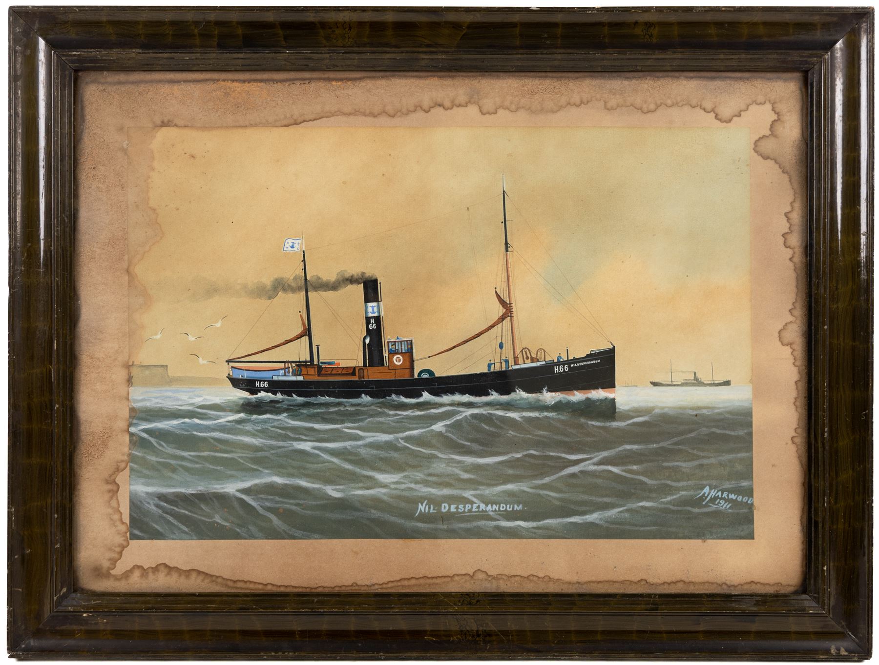 Alexander Harwood (British 1851-1922): H66 Desperandum - Ship's Portrait, watercolour and gouache signed titled and dated 1911, 32cm x 48cm