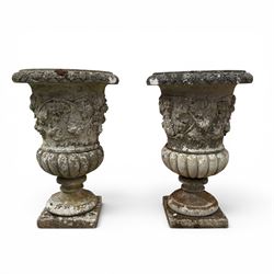 Pair of quality antique weathered three-piece composite stone garden urns, the flared rim moulded with repeating acanthus leaves, over a deep-relief campana body decorated with fruiting grapevines and ivy leaves, the gadrooned underbelly over a turned socle and square base