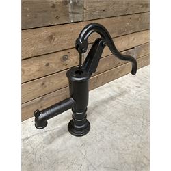 Small cast iron water pump
