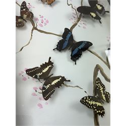 Entomology: Single glazed display of butterflies, circa 20th century, single glazed display containing seven various specimens, including green-banded swallowtail, and amauris crawshayi, pinned upon foam backing, enclosed within a glazed ebonised display case the backdrop painted with blossoming branches , H49cm, L39cm