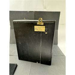 Taxidermy: Cased Little Auk (Alle alle), immature full mount, stood upon a painted faux rock ledge,the backdrop as a cliff with moss, enclosed within a ebonised angled four-glass display case, H32cm