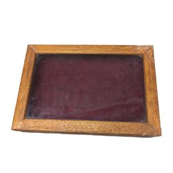 Oak bijouterie style table top box, with glazed lid and velvet interior, H6cm, W30.5cm, D21cm
