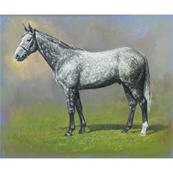 Brian Priest (British Contemporary): 'Master Craftsman' Dappled Grey Racehorse Portrait, oil on canvas, signed titled and dated 2017 verso 47cm x 56cm