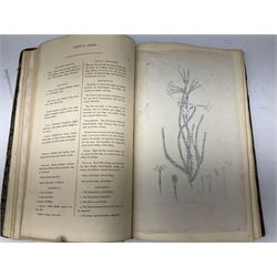 Henry C. Andrews - The Heathery; Or A Monograph Of The Genus Erica?Sixty-three hand coloured plates, JW Hatman 1974 watermark, lacking frontispiece; large folio; quarter leather binding with marbled boards