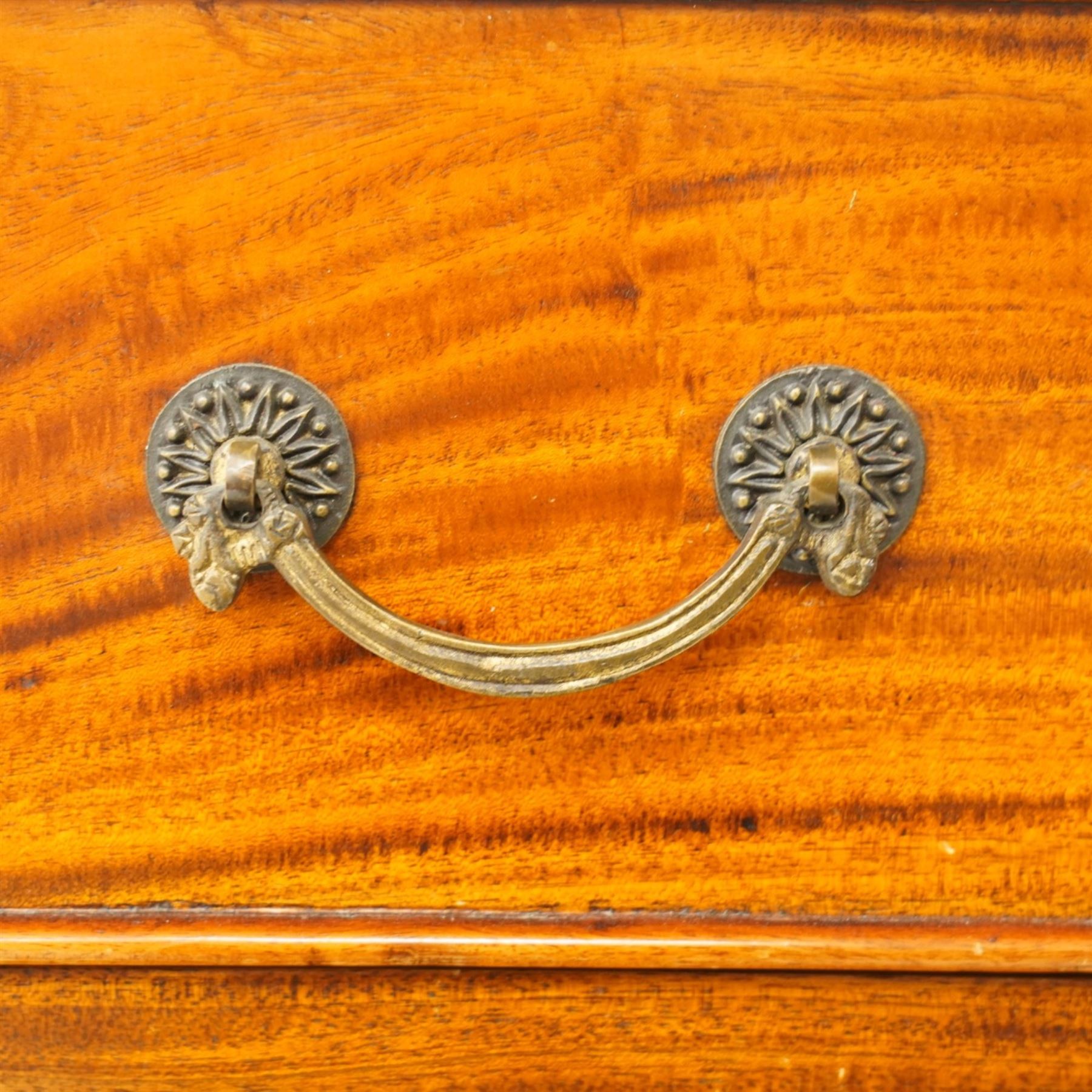 Neoclassical design cherry wood tall pedestal chest, fitted with seven drawers with swan neck handles, flanked by ebonised pilasters with composite capitals, fielded panelled sides on bracket feet