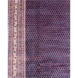 Northwestern Persian Bottehmir hand-knotted carpet, dark indigo field with an all-over design of boteh motifs arranged in diagonal rows, framed by multiple borders, main ivory border with stylized floral sprays between narrow geometric guard stripes, 362cm x 268cm