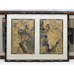 Japanese School (20th century): Birds in Trees, pair woodblock prints framed as one, each 36cm x 24cm, together with a similar set of three framed as one, each 37cm x 25cm (2)