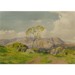 Ernest Ellis Clark (British 1869-1932): 'Coniston Hills', watercolour signed 32cm x 45cm