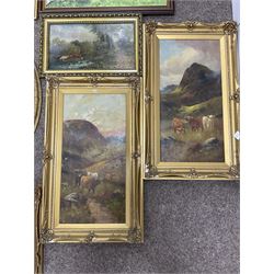 Three highland cattle oils on canvas, Trevor Mitchell landscape oil, landscape watercolour, still life watercolour, etc