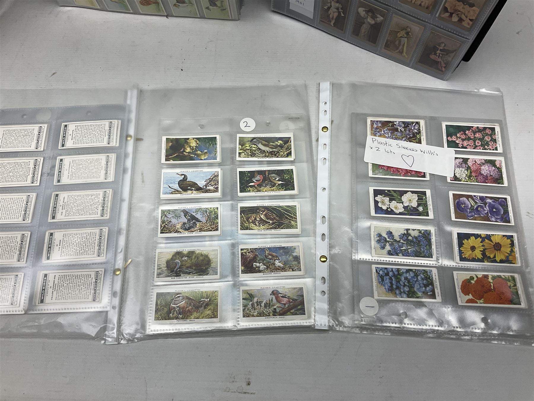Quantity of mostly cigarette cards, housed in ring binder albums and loose, by Ardath, W.D. & H.O. Wills, John Player & Sons, The American Tobacco Co etc, including famous film stars, cinema stars, wild birds, poultry, dogs etc and various books or catalogues relating to cigarette card collecting, in one box